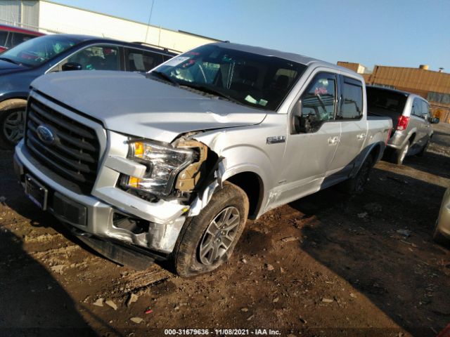 Photo 1 VIN: 1FTEW1EP1GFA61199 - FORD F-150 