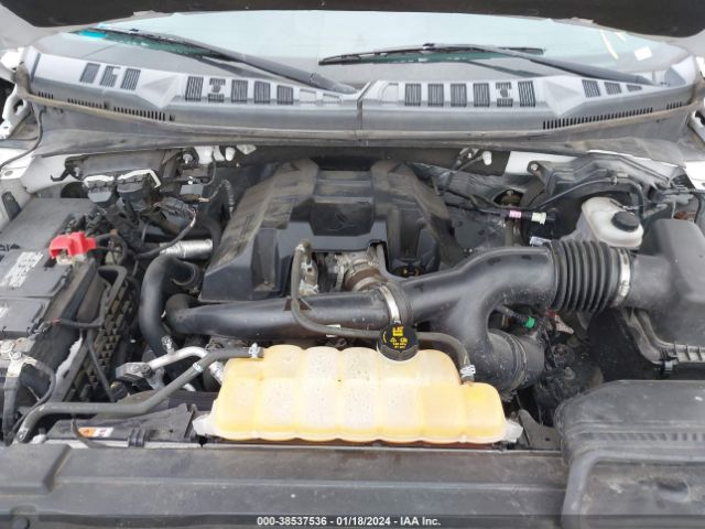 Photo 9 VIN: 1FTEW1EP1GFC82060 - FORD F-150 