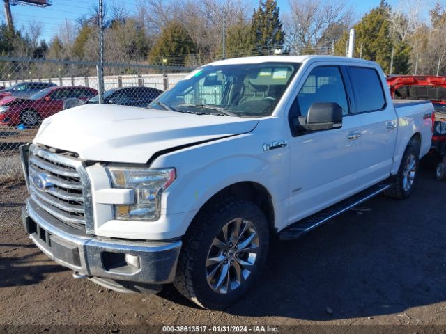 Photo 1 VIN: 1FTEW1EP1GFC99067 - FORD F-150 