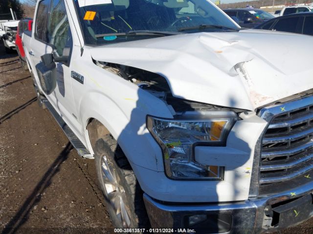 Photo 5 VIN: 1FTEW1EP1GFC99067 - FORD F-150 