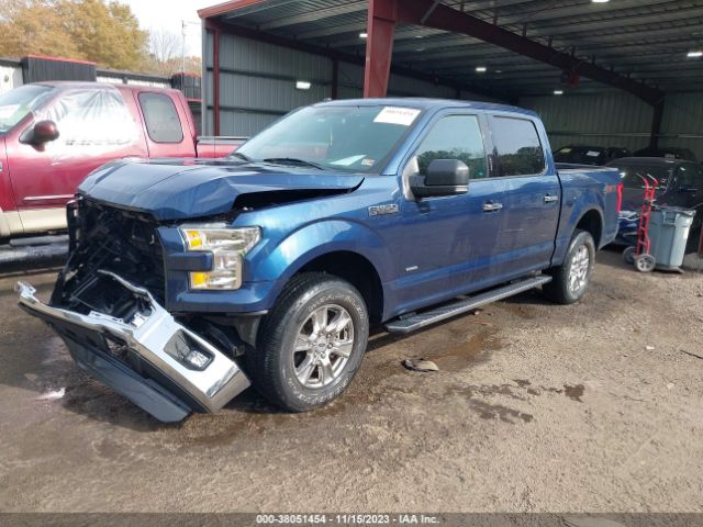 Photo 1 VIN: 1FTEW1EP1GFD51264 - FORD F-150 