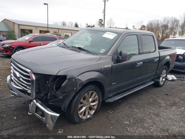 Photo 1 VIN: 1FTEW1EP1GFD59574 - FORD F-150 