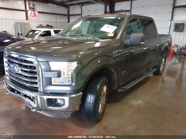 Photo 1 VIN: 1FTEW1EP1GKD09233 - FORD F150 