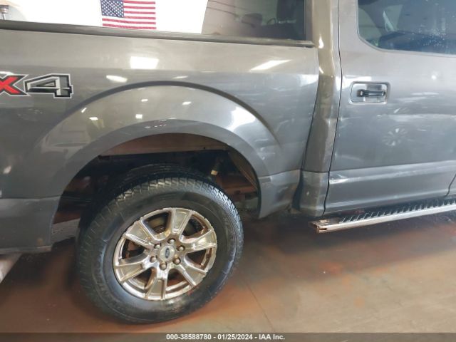 Photo 5 VIN: 1FTEW1EP1GKD09233 - FORD F150 