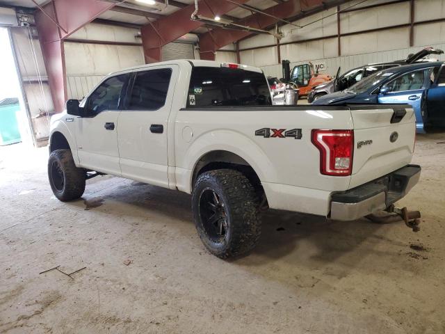 Photo 1 VIN: 1FTEW1EP1HFB84387 - FORD F-150 