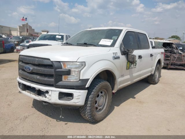 Photo 1 VIN: 1FTEW1EP1HFC14908 - FORD F-150 