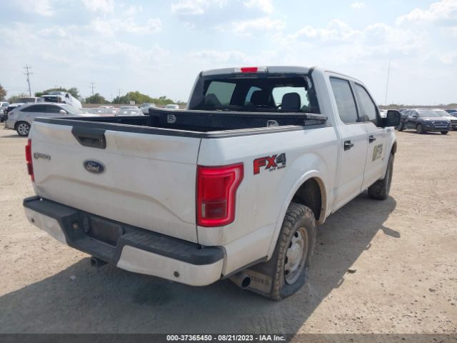 Photo 3 VIN: 1FTEW1EP1HFC14908 - FORD F-150 