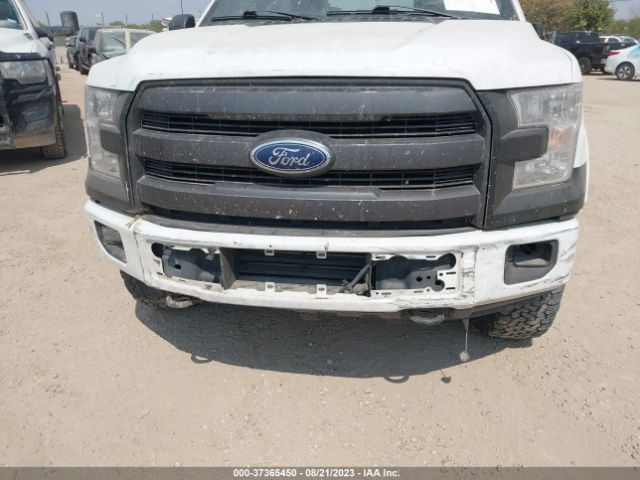 Photo 5 VIN: 1FTEW1EP1HFC14908 - FORD F-150 