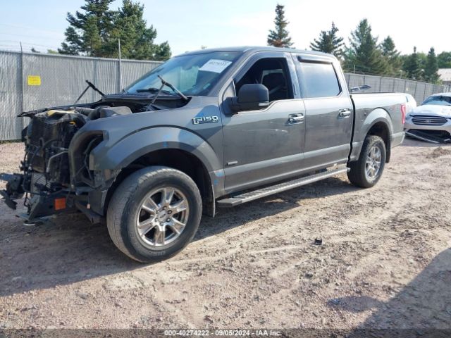 Photo 1 VIN: 1FTEW1EP1HKD82345 - FORD F-150 