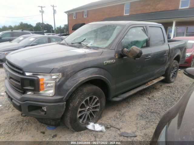 Photo 1 VIN: 1FTEW1EP1LFC32205 - FORD F-150 