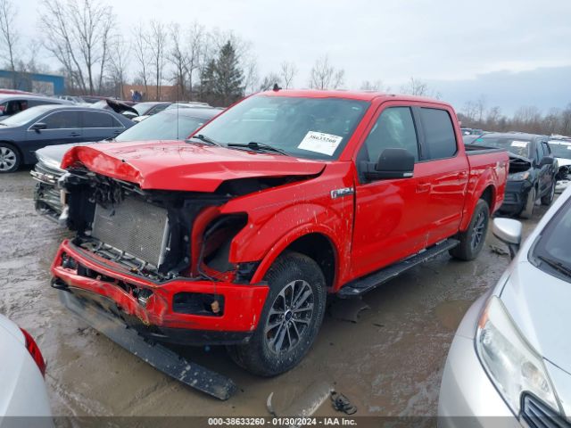 Photo 1 VIN: 1FTEW1EP1LFC40854 - FORD F-150 