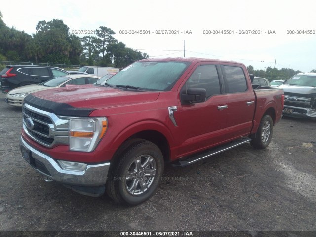 Photo 1 VIN: 1FTEW1EP1MKD12905 - FORD F-150 