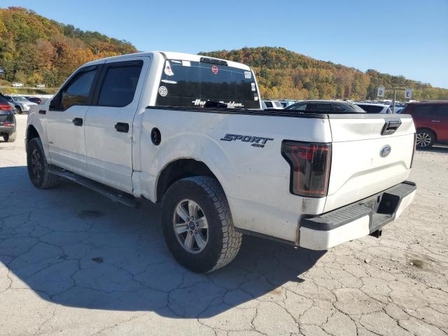 Photo 1 VIN: 1FTEW1EP2GFC18318 - FORD F150 SUPER 