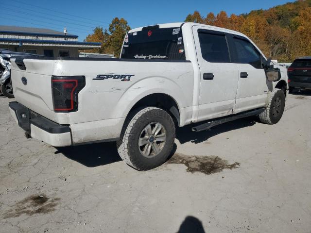 Photo 2 VIN: 1FTEW1EP2GFC18318 - FORD F150 SUPER 