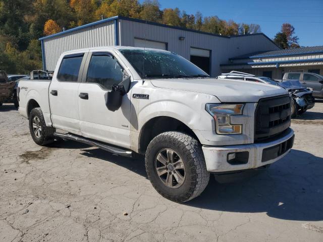 Photo 3 VIN: 1FTEW1EP2GFC18318 - FORD F150 SUPER 