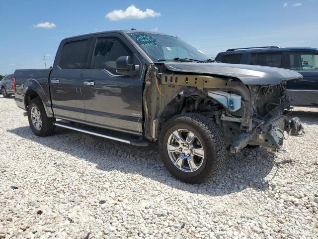 Photo 3 VIN: 1FTEW1EP2GKF79944 - FORD F150 SUPER 