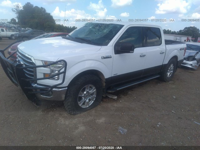 Photo 1 VIN: 1FTEW1EP2GKF92452 - FORD F-150 