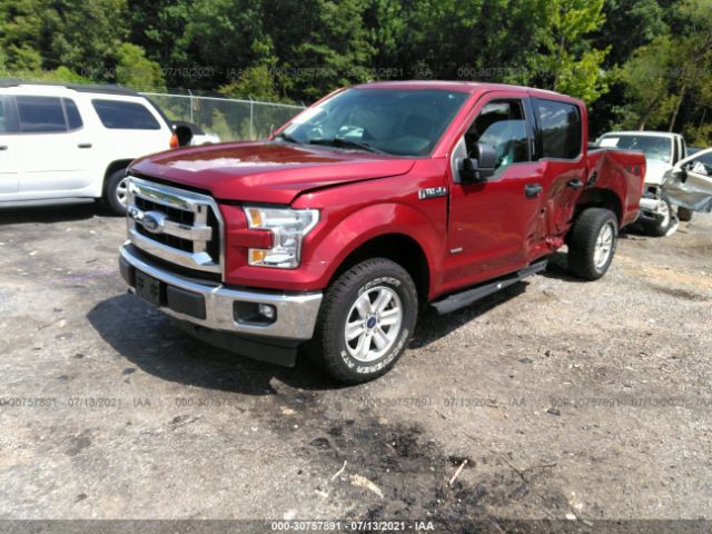 Photo 1 VIN: 1FTEW1EP2HFB57604 - FORD F-150 