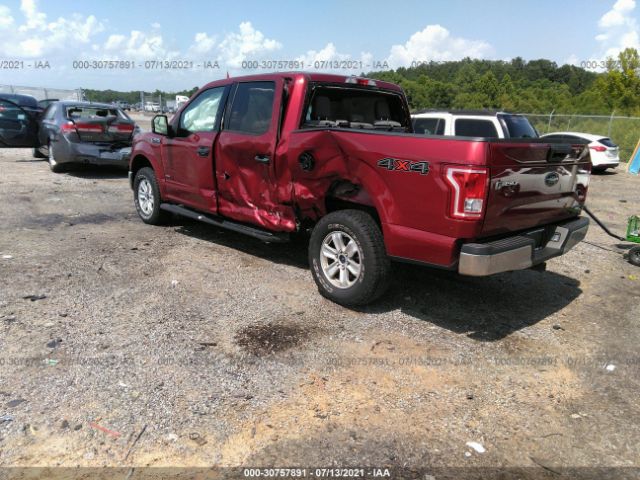 Photo 2 VIN: 1FTEW1EP2HFB57604 - FORD F-150 