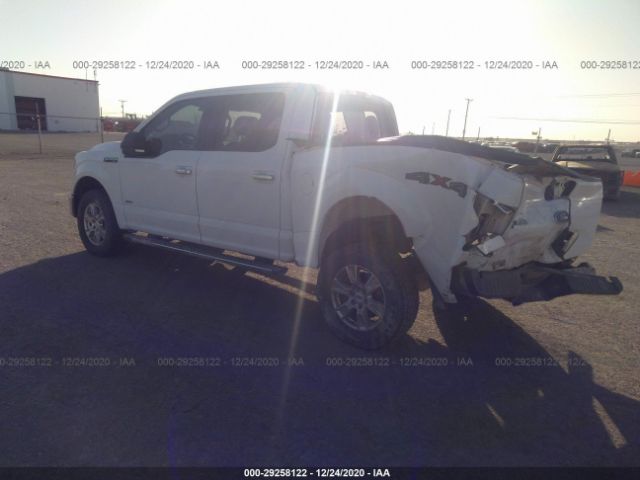 Photo 2 VIN: 1FTEW1EP2HKE14025 - FORD F-150 