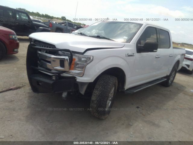 Photo 1 VIN: 1FTEW1EP2JKC79604 - FORD F-150 