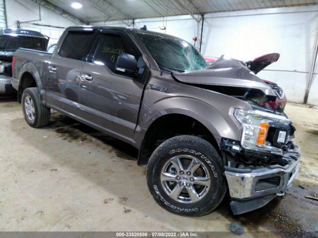 Photo 0 VIN: 1FTEW1EP2KFD43781 - FORD F-150 