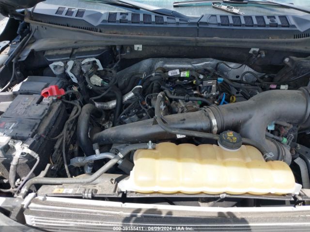 Photo 9 VIN: 1FTEW1EP2LKD85800 - FORD F150 