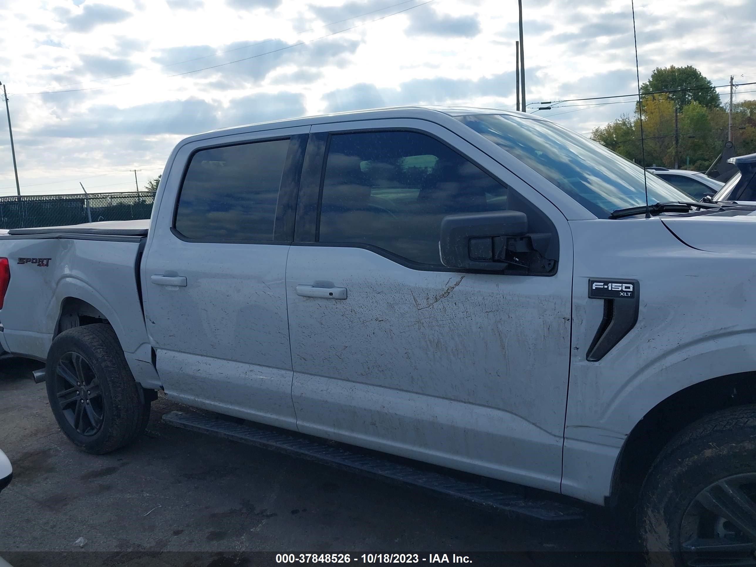 Photo 12 VIN: 1FTEW1EP2MKD04411 - FORD F-150 