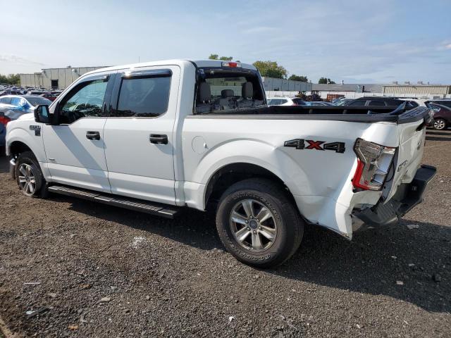 Photo 1 VIN: 1FTEW1EP3FFB86266 - FORD F150 SUPER 