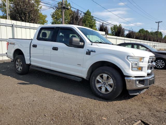 Photo 3 VIN: 1FTEW1EP3FFB86266 - FORD F150 SUPER 