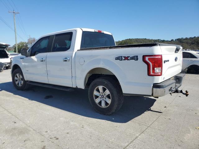 Photo 1 VIN: 1FTEW1EP3FFC20870 - FORD F150 SUPER 