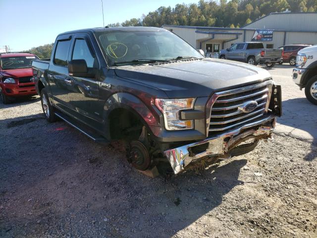 Photo 0 VIN: 1FTEW1EP3GFB38302 - FORD F150 SUPER 