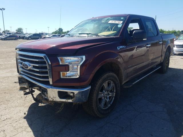 Photo 1 VIN: 1FTEW1EP3GFC14598 - FORD F150 SUPER 