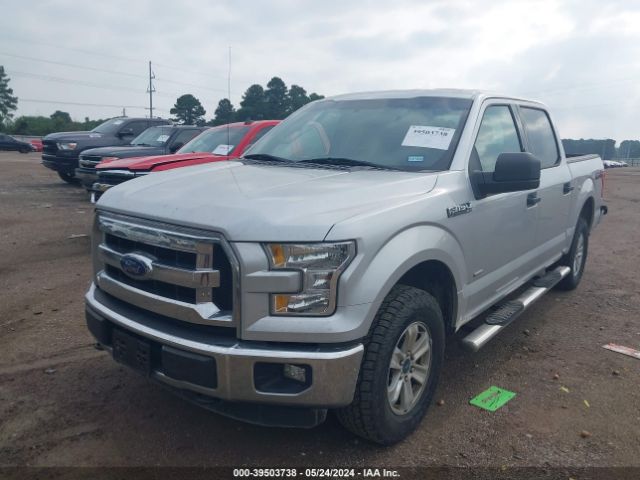 Photo 1 VIN: 1FTEW1EP3GKD30195 - FORD F-150 