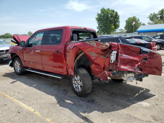 Photo 1 VIN: 1FTEW1EP3GKD88260 - FORD F150 SUPER 