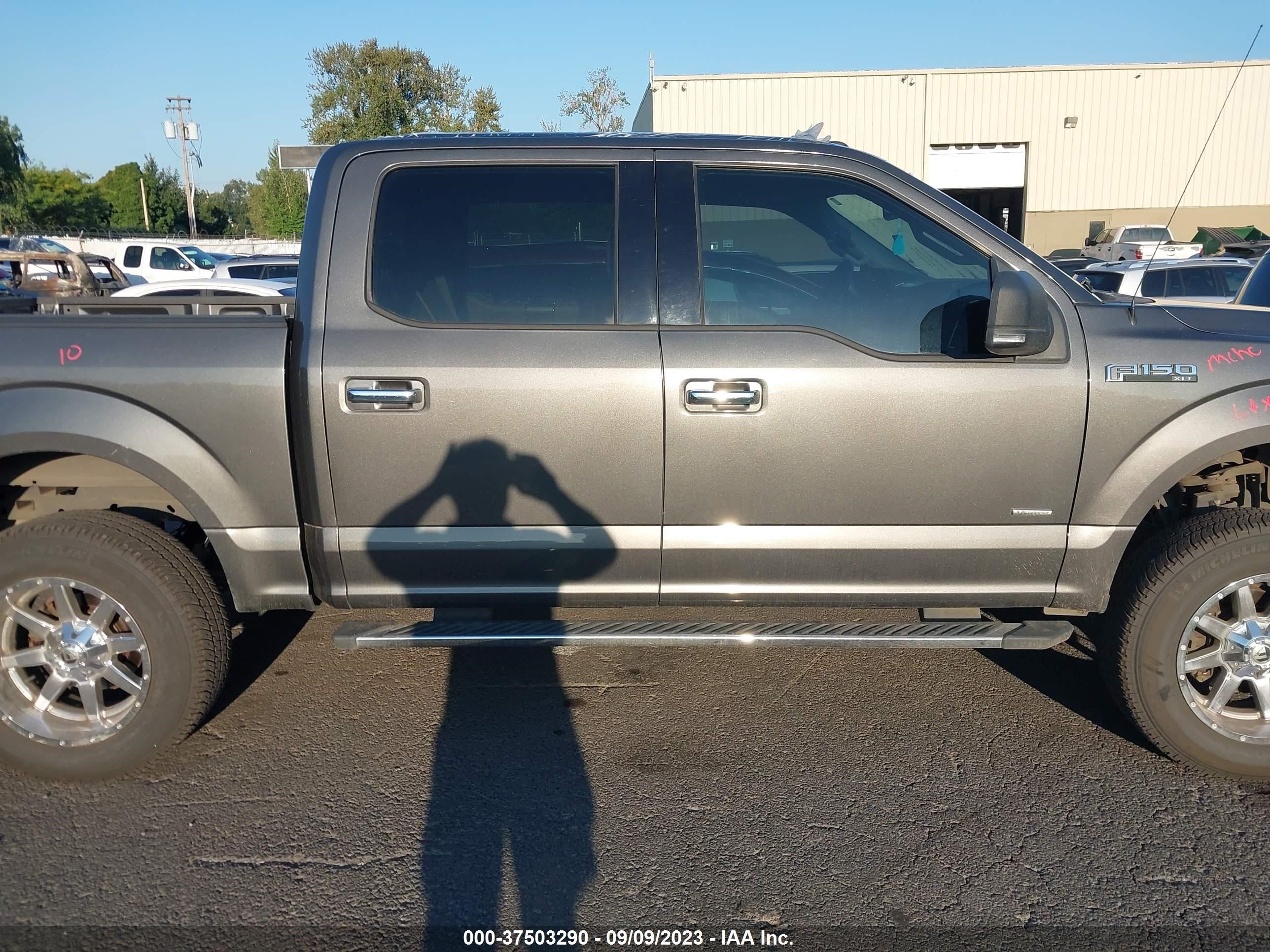 Photo 12 VIN: 1FTEW1EP3GKE75589 - FORD F-150 