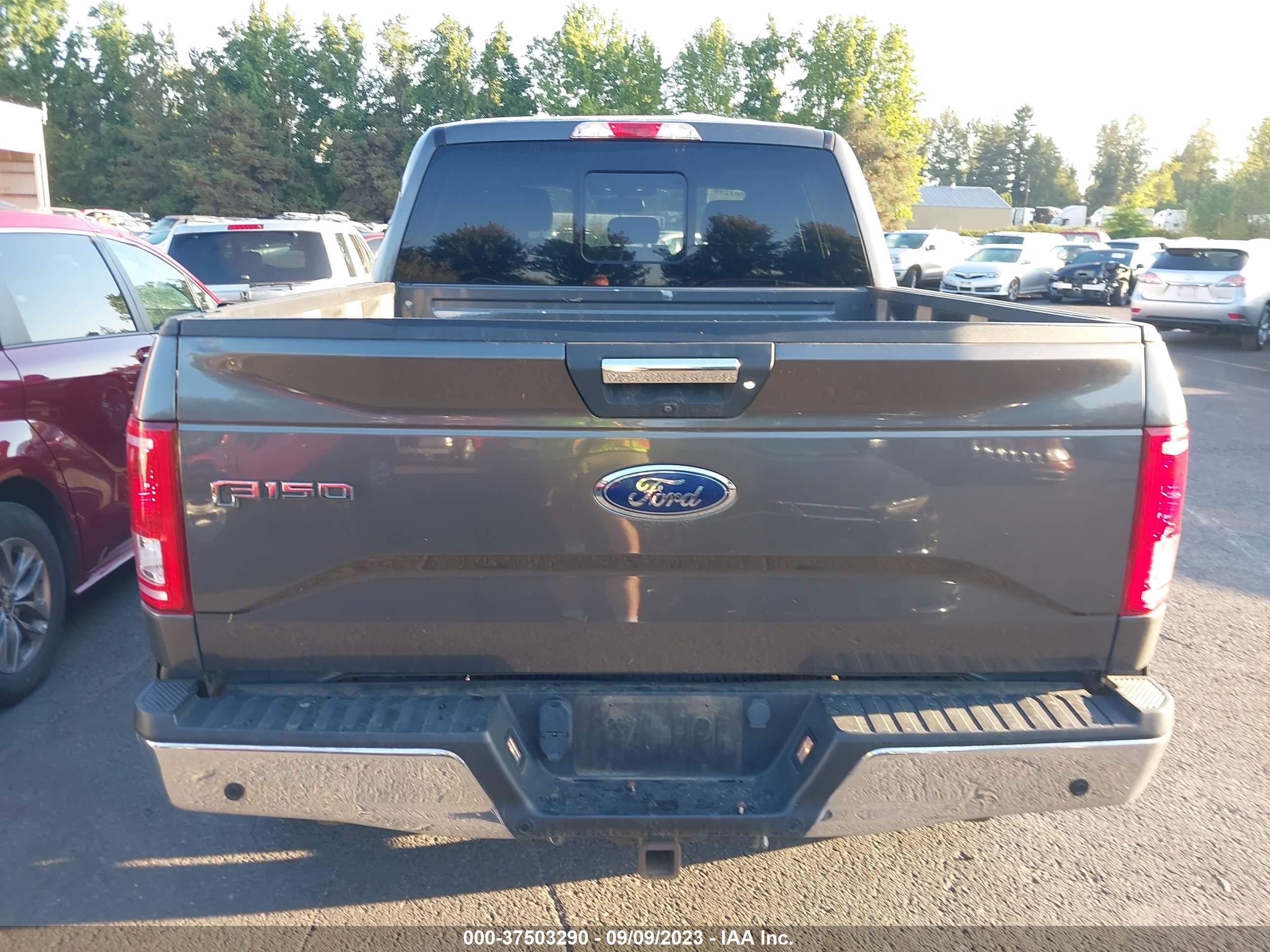 Photo 15 VIN: 1FTEW1EP3GKE75589 - FORD F-150 