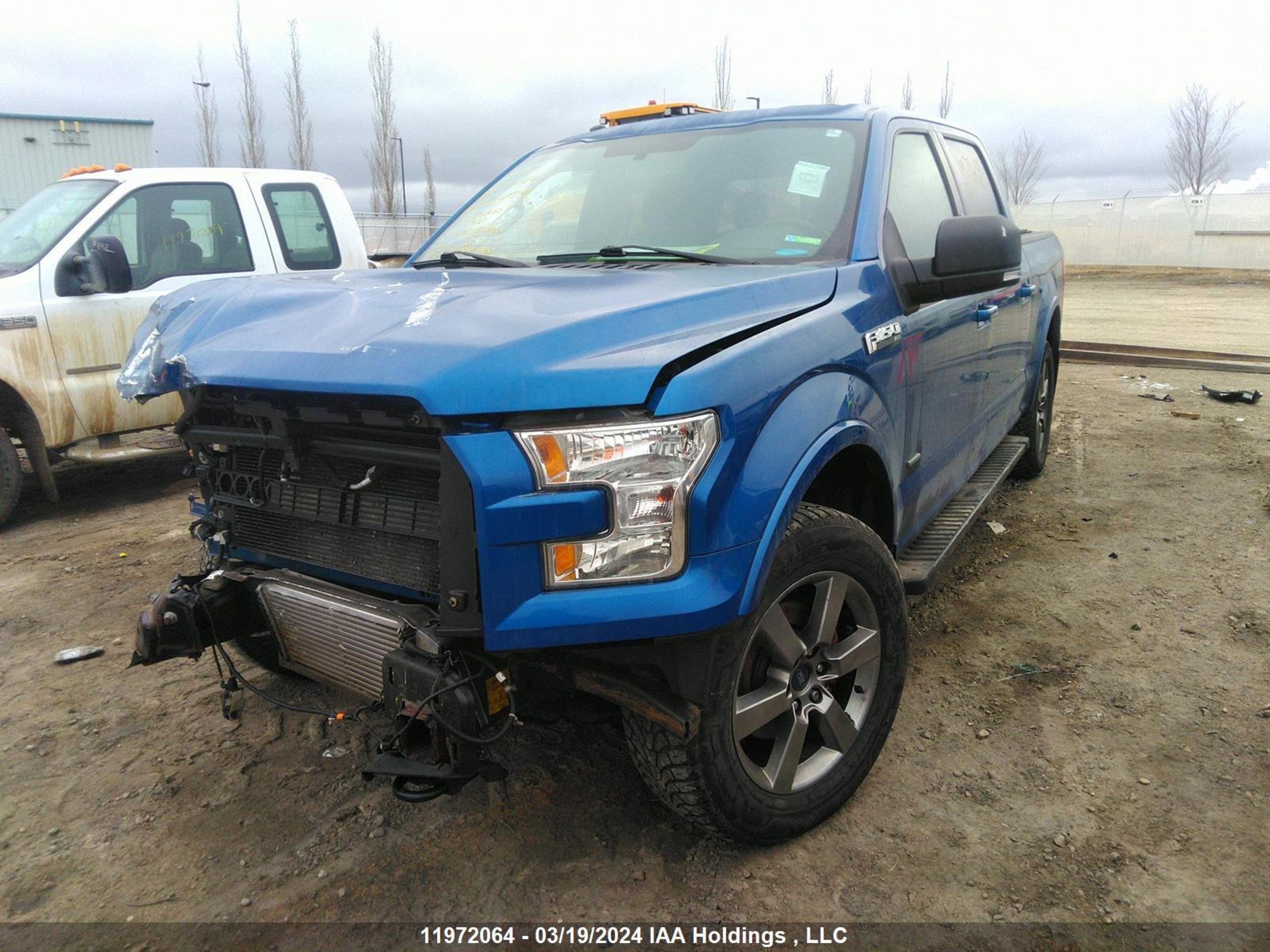 Photo 1 VIN: 1FTEW1EP3HFB13479 - FORD F-150 