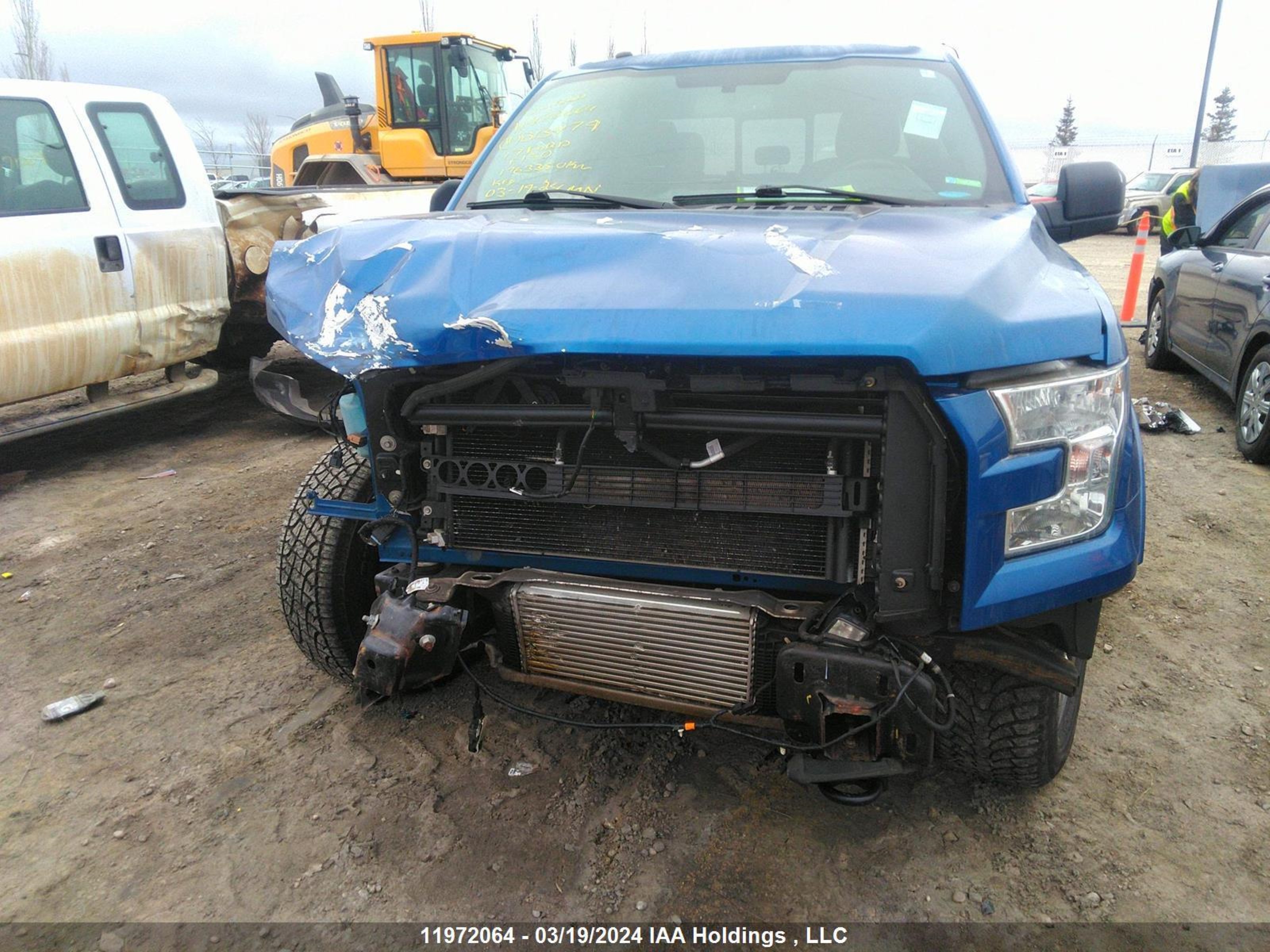 Photo 11 VIN: 1FTEW1EP3HFB13479 - FORD F-150 