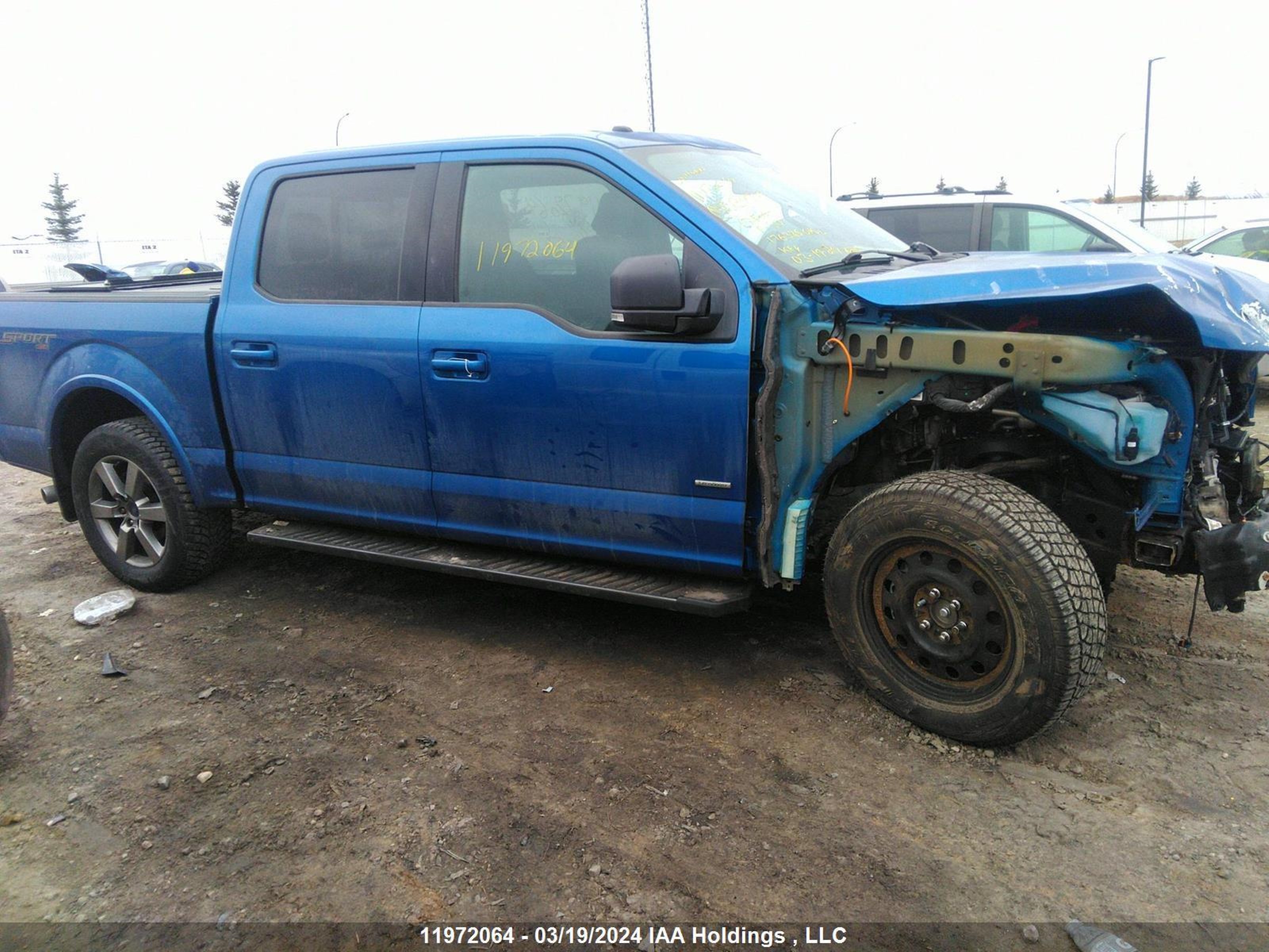 Photo 12 VIN: 1FTEW1EP3HFB13479 - FORD F-150 