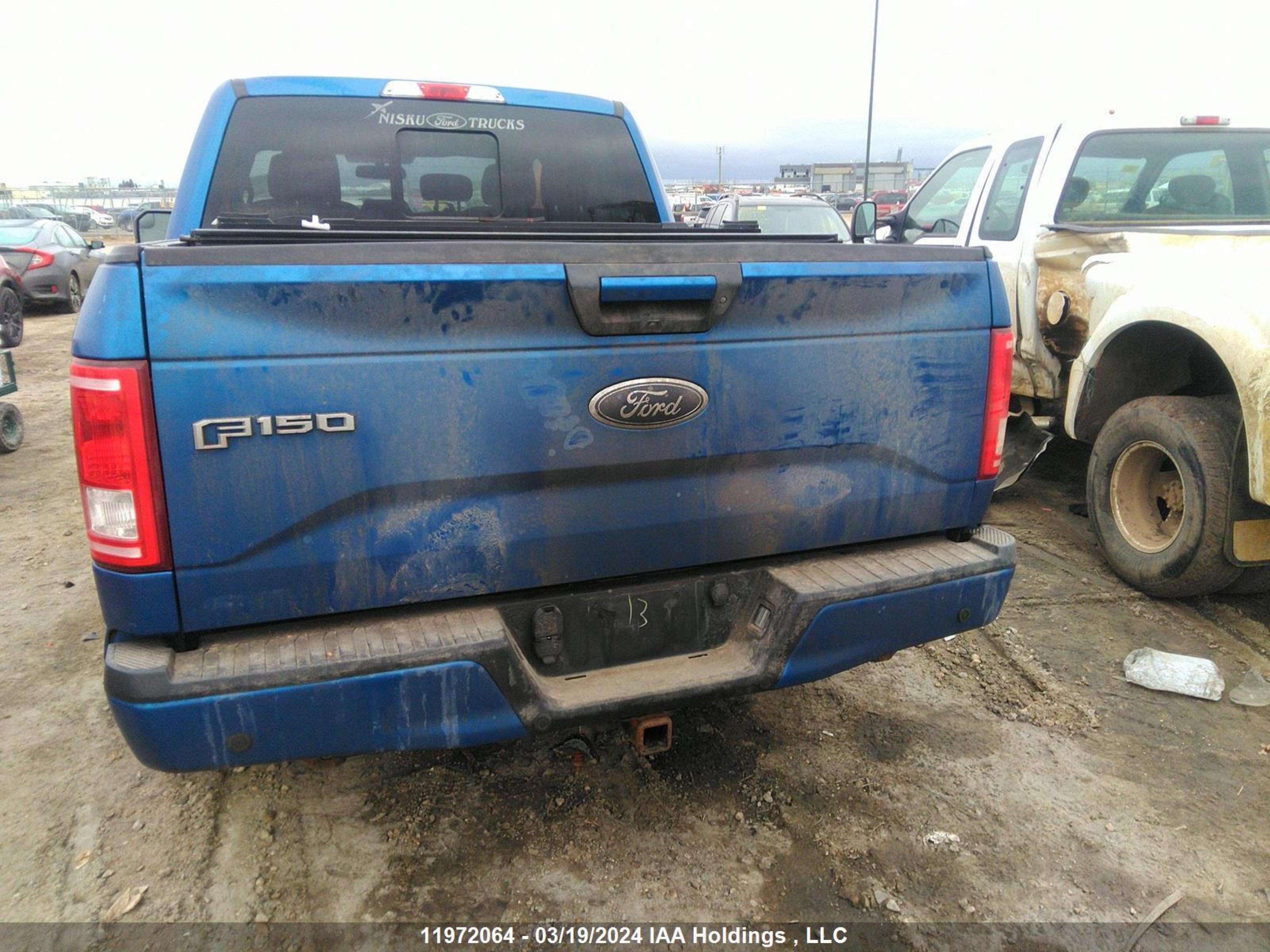 Photo 15 VIN: 1FTEW1EP3HFB13479 - FORD F-150 