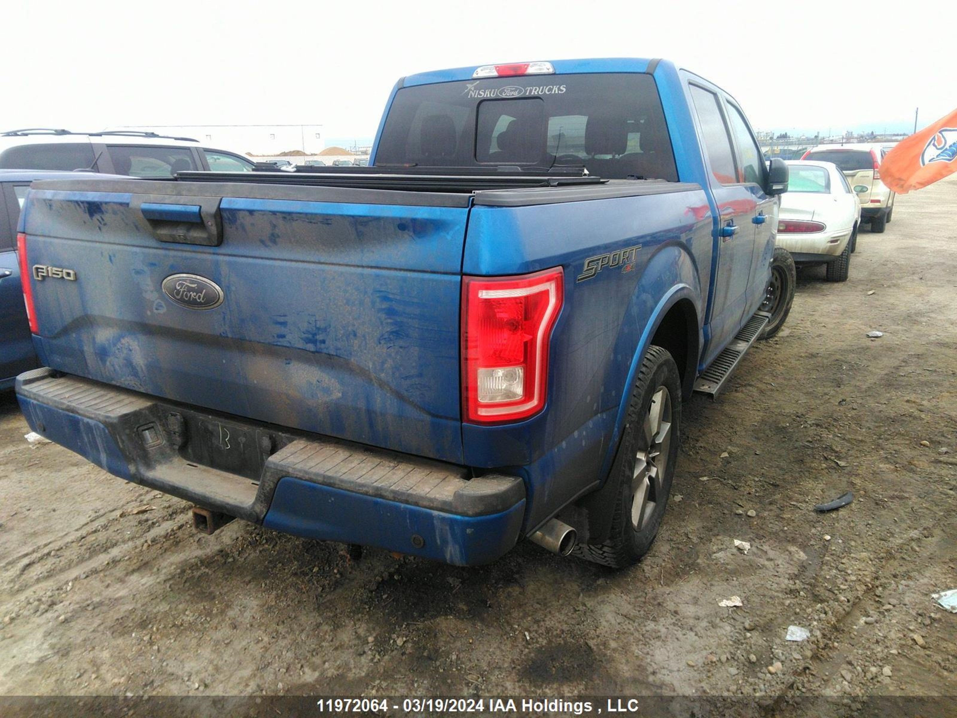 Photo 3 VIN: 1FTEW1EP3HFB13479 - FORD F-150 