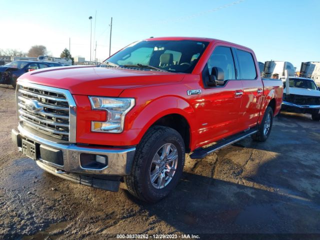 Photo 1 VIN: 1FTEW1EP3HKC82196 - FORD F-150 