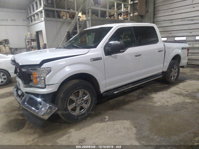 Photo 1 VIN: 1FTEW1EP3JFA58179 - FORD F-150 