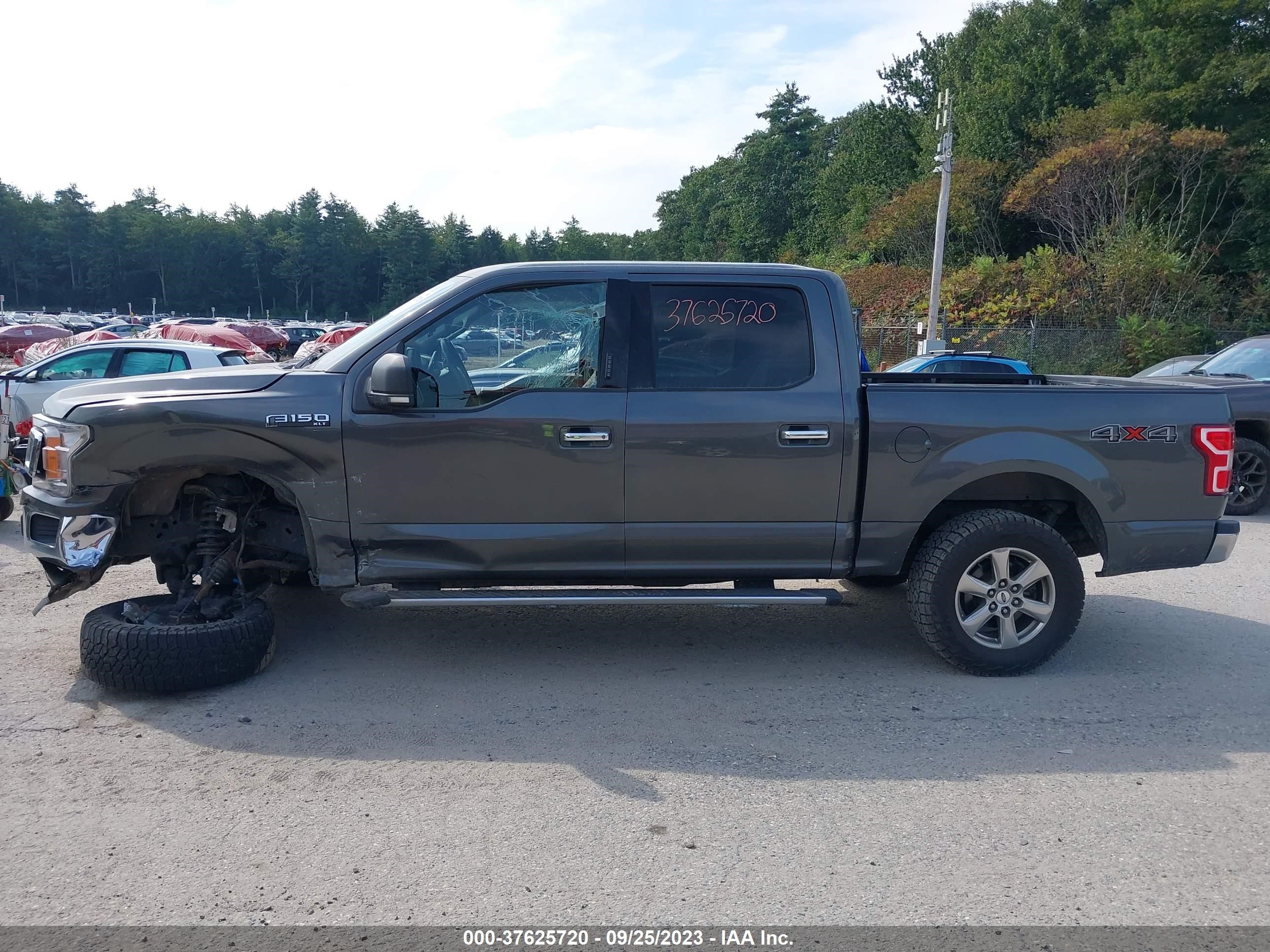 Photo 13 VIN: 1FTEW1EP3KFA71774 - FORD F-150 