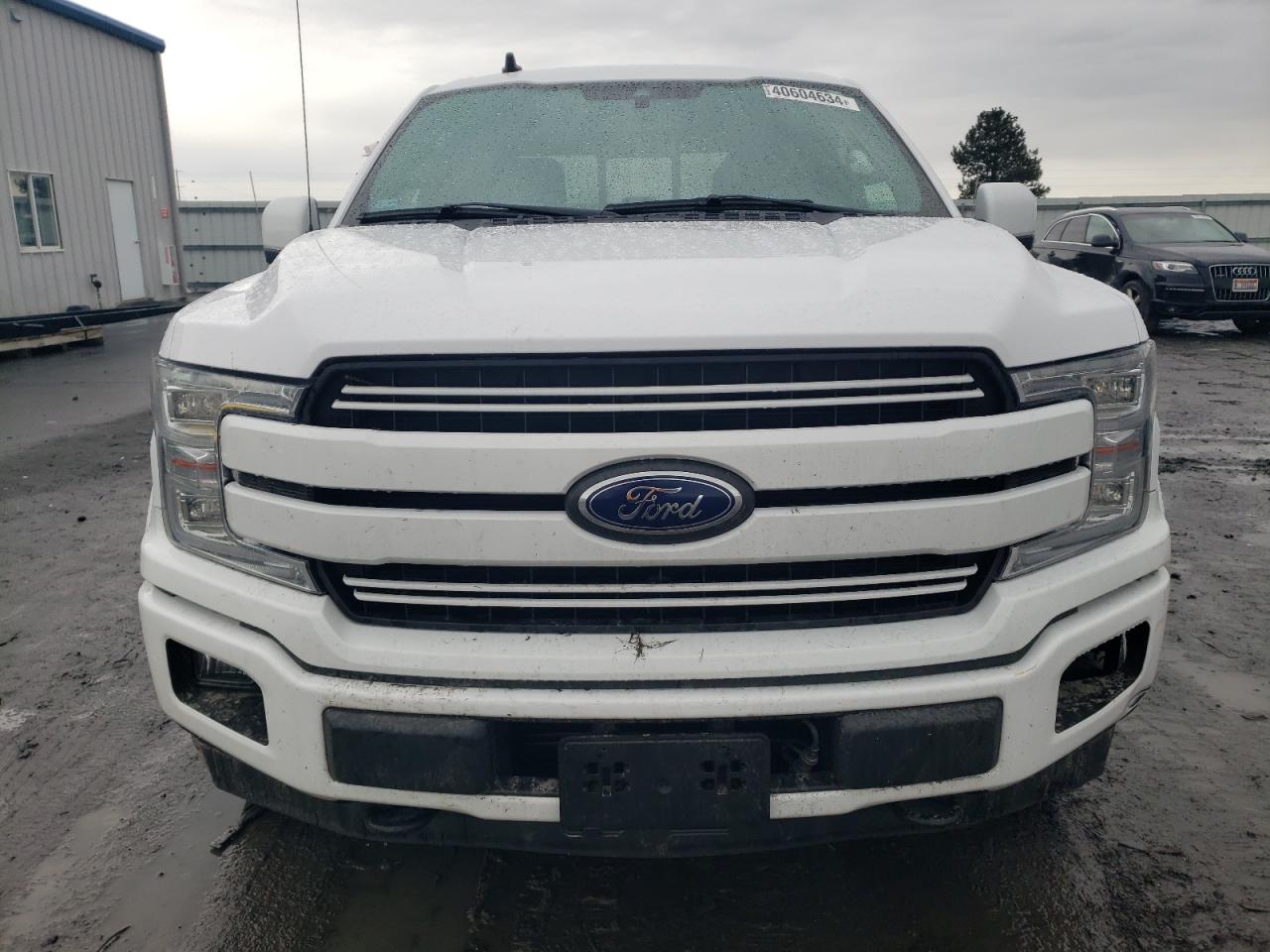 Photo 4 VIN: 1FTEW1EP3KKE27079 - FORD F-150 