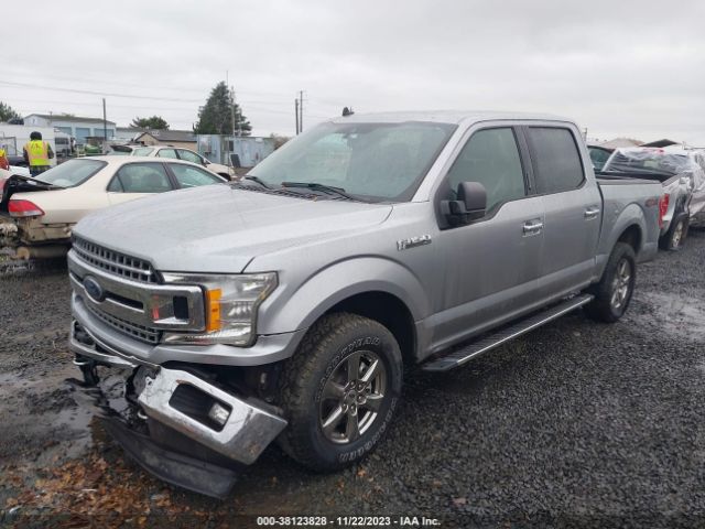 Photo 1 VIN: 1FTEW1EP3LKF04275 - FORD F-150 