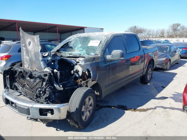 Photo 1 VIN: 1FTEW1EP4FKD95670 - FORD F-150 