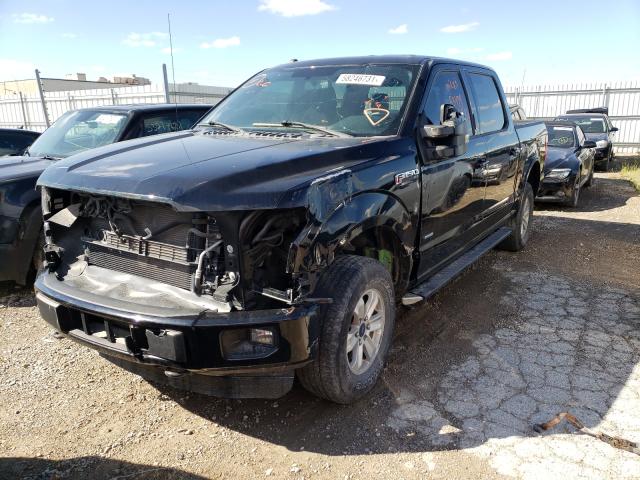 Photo 1 VIN: 1FTEW1EP4GFA84590 - FORD F150 SUPER 