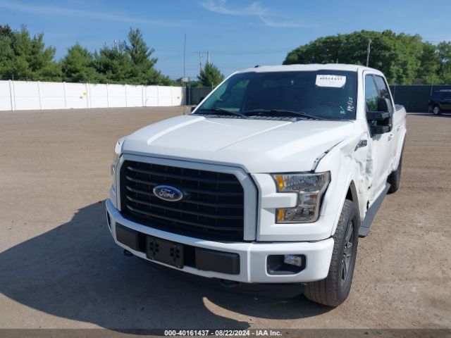 Photo 1 VIN: 1FTEW1EP4GFC33239 - FORD F-150 